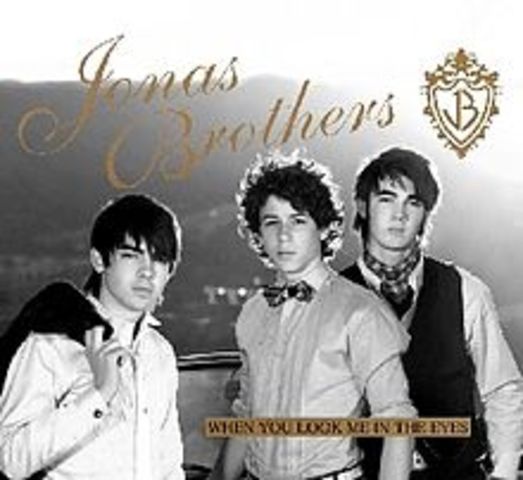 Jonas Brothers Concert
