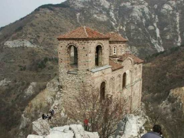 War of the Stray Dog