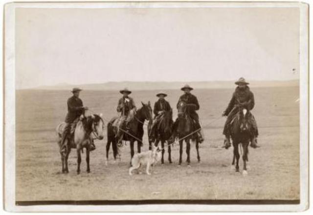 War Of Extermination