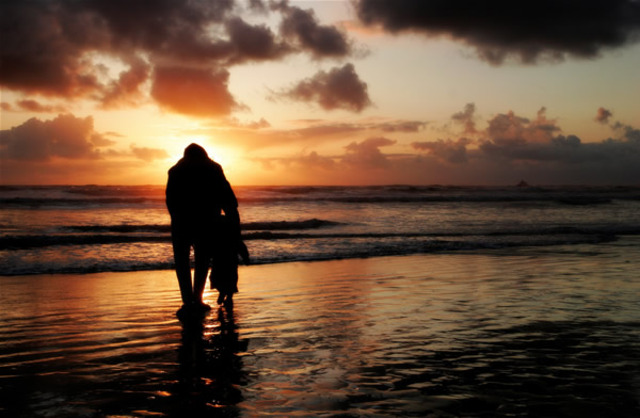 Van's fantasy comes true