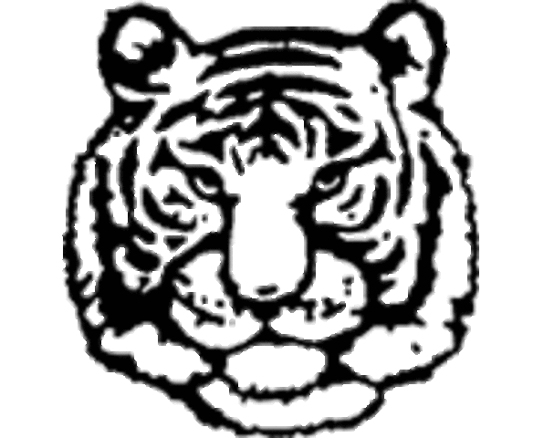 2nd grade through 5th