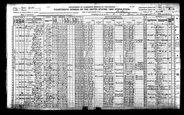 1920 Cencus