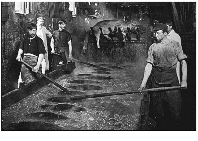 The meat inspection act & the pure food and drug act