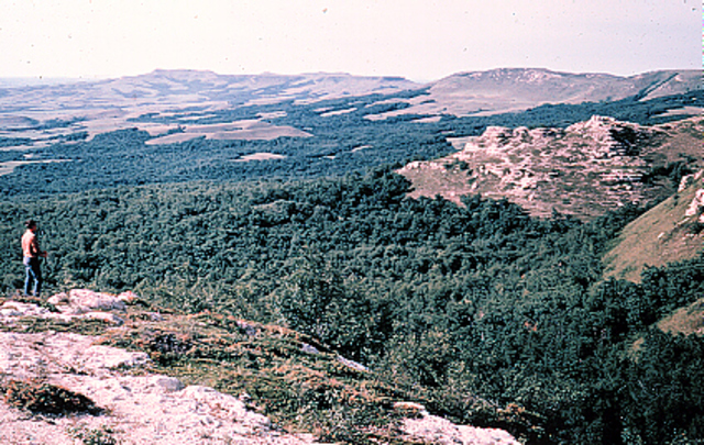 North Dakota Gold Rush starts