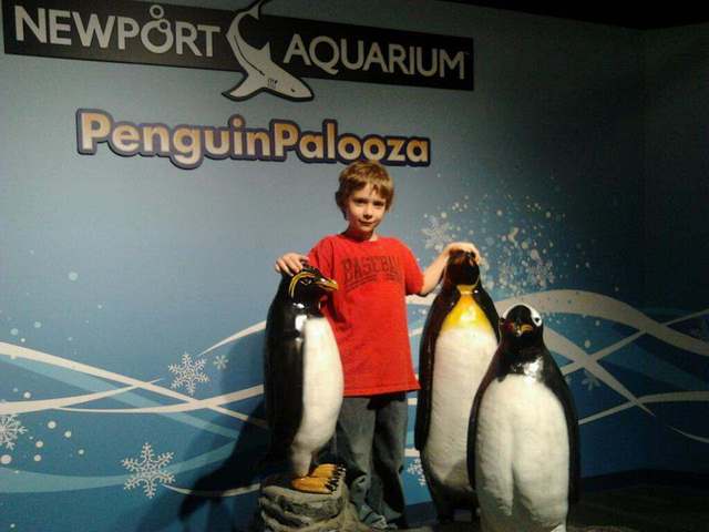 my first trip to newport aquarium spring break
