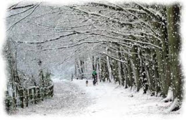 Tim exchanges his emotions