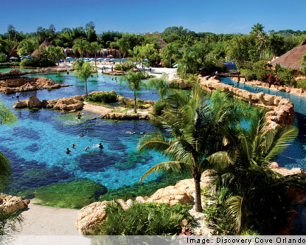 Discovery Cove