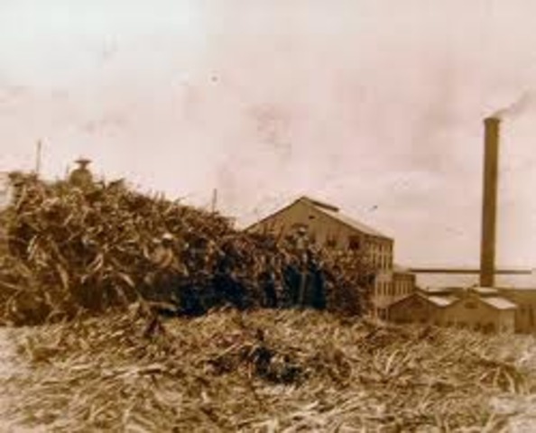 Reciprocity Treaty of 1875