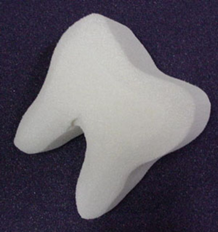 I discover my first tooth