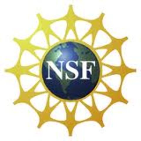 FUNDACION NACIONAL DE LA CIENCIA