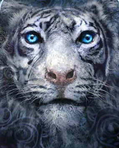 Chapters rest of 10- halfway of 11 Pg 114-139