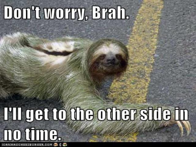 Sal gets a ride on a flatbed truck all the way to Wyoming.