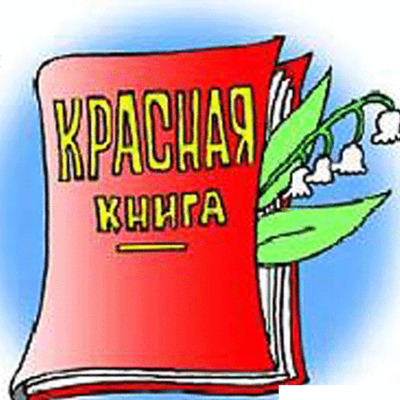 Timeline: Создание заповедников в России