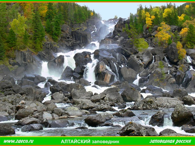 Алтайский заповедник