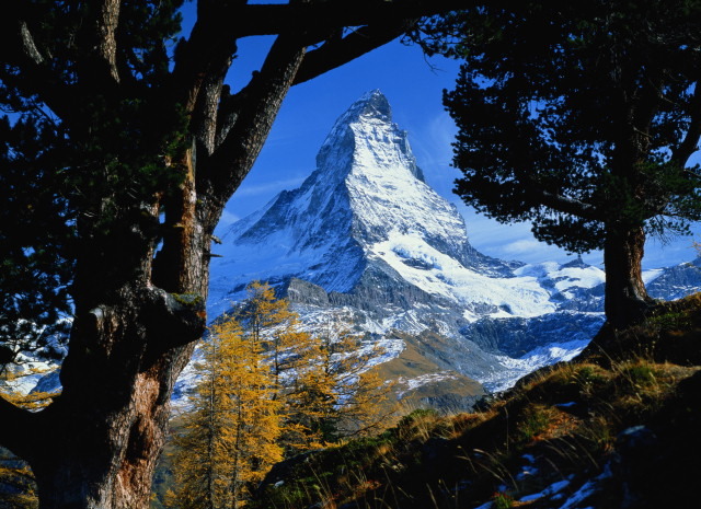 Большой Арктический заповедник