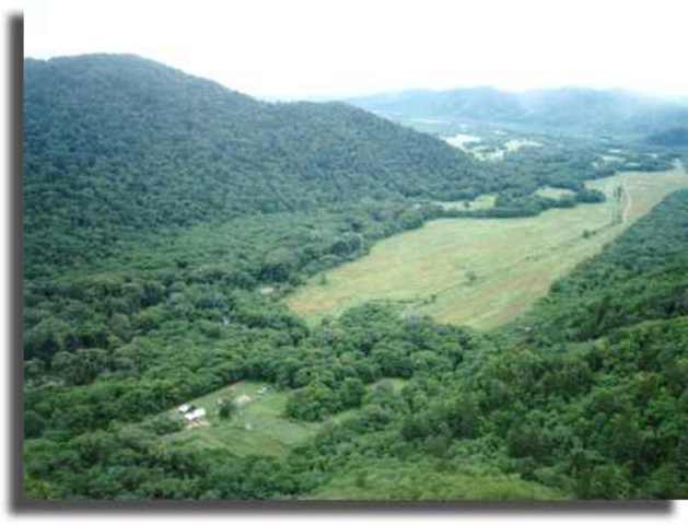 Уссурийский заповедник.