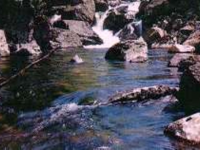 Большехехцирский заповедник.