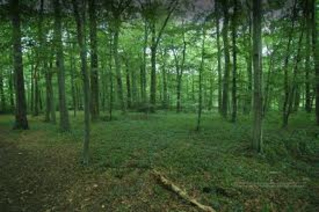 Multiple-Use Sustained-Yield Act of 1960