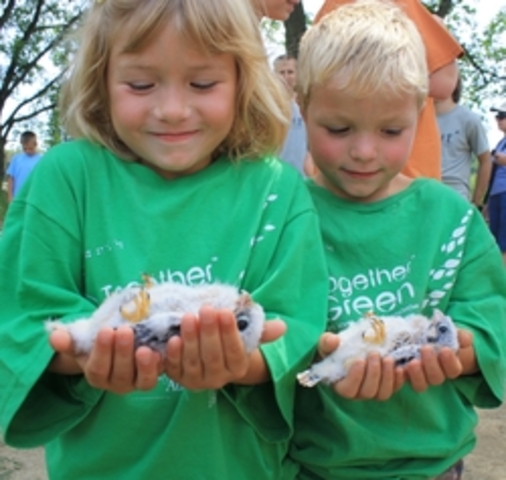 New York Audubon Society