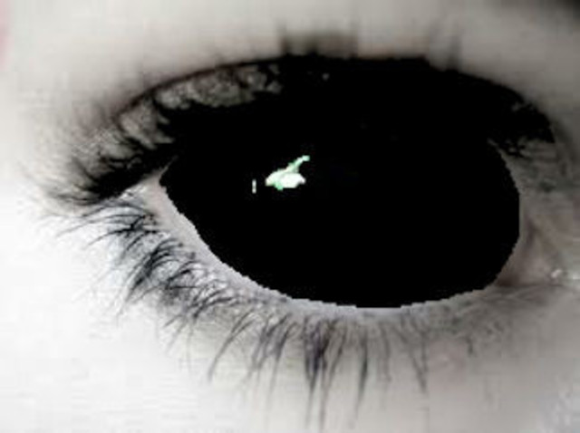 November 8, 2012; 54 pages