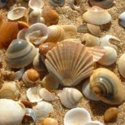 Timeline: La Línea De Tiempo De Mi Vida