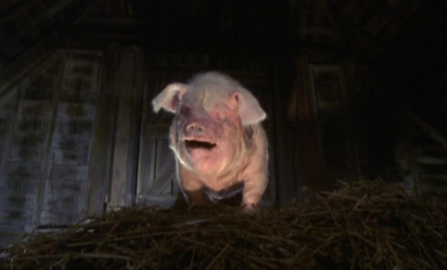 The meeting in the farm