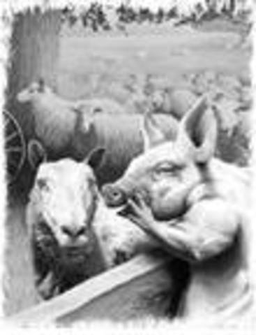 old major gave a speech in the barn