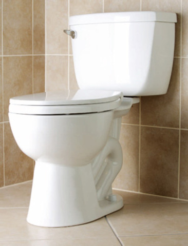 Flush Toilet