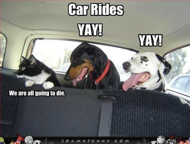 The first time I wen to my Grandpa Cleary's house