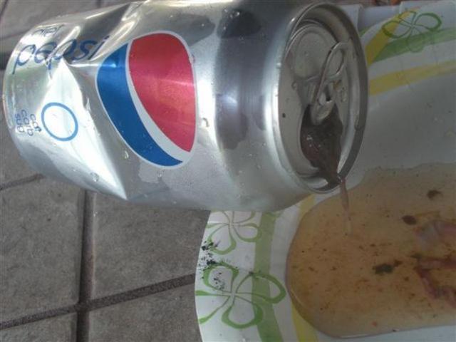 Frog in Pepsi