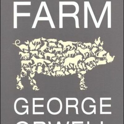 Timeline: Brady Petrie