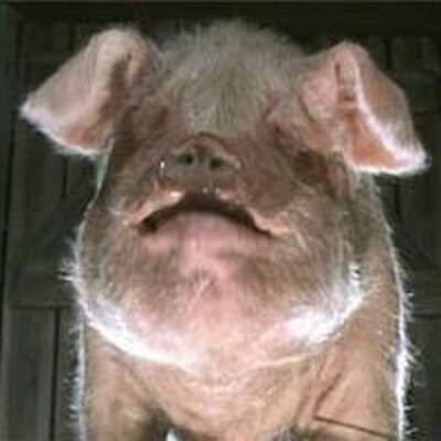 Timeline: major events