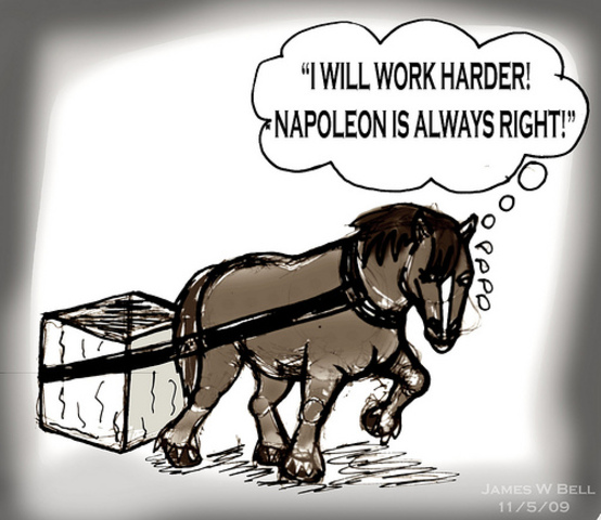 napolean is the new ruler of animal farm!