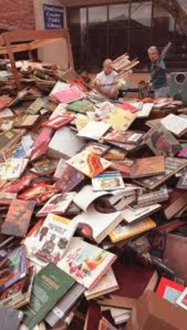 The Destroyed Bookshop