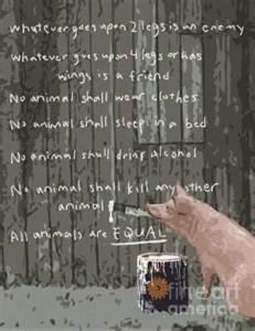 The 7 commandments pg. 43