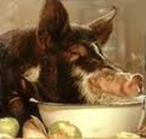 Napolean Takes Charge