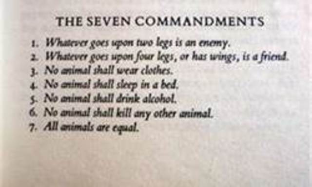 Pigs Create 7 Commandments.