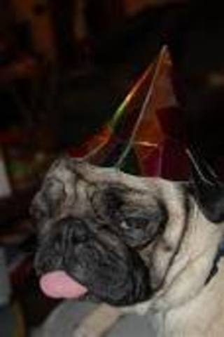 Christmas with the family.