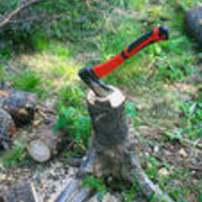 Timeline: Hatchet     Melanie Williams