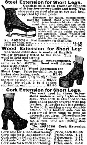 First catalog released