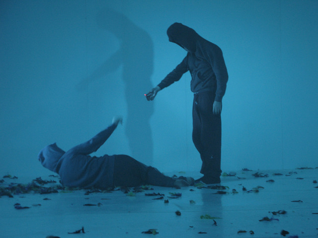 Danse : La chanmbre des curiosités