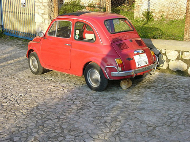 Mr and Mrs jones leave the farm