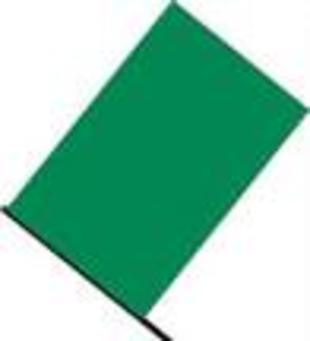 snowball rasies the flag