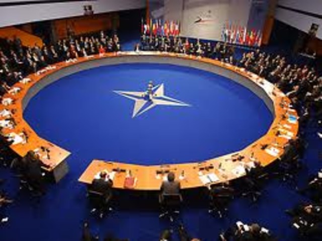 International alliances(NATO)