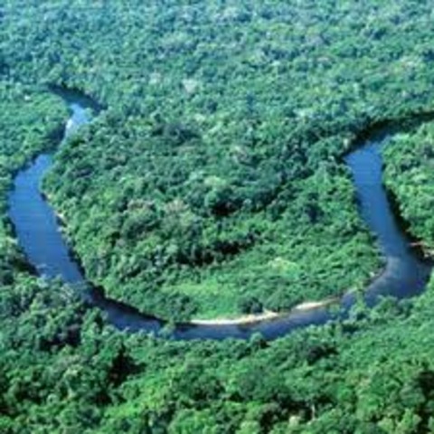 Se define al agua como tema prioritario y eje articulador de la política ambiental.