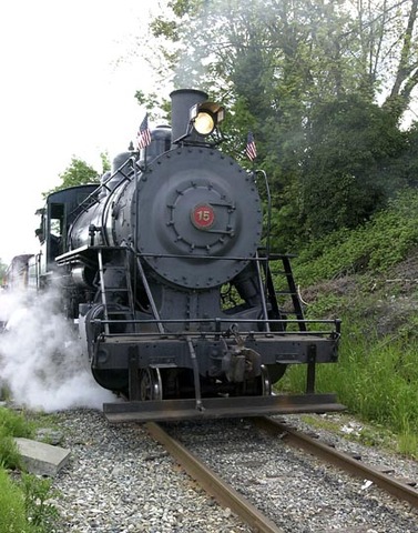 The Steam Engine