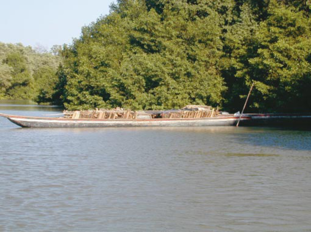 PNA para el desarrollo sosteniblede los espacios oceánicosy las zonas costeras einsulares de Colombia