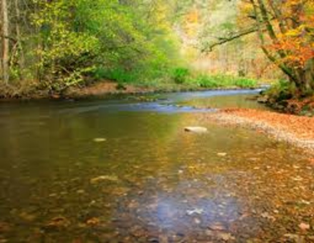 Formuló siete programas y acciones para el mejoramiento ambiental:
