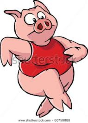 "No animal shall wear clothes"