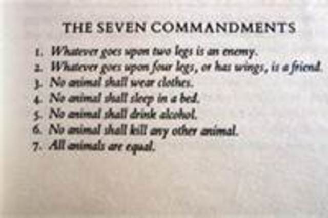 Seven Commandments